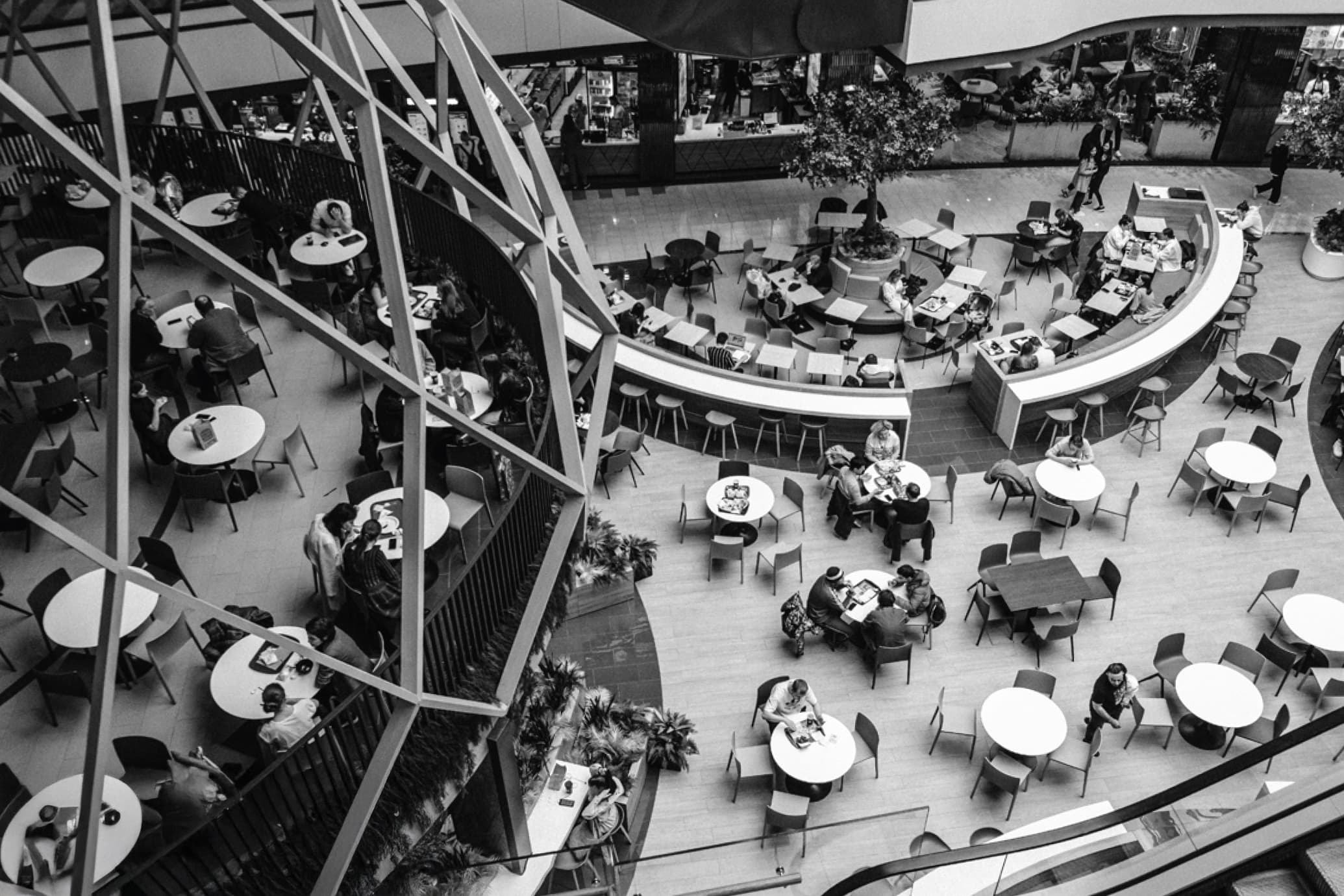 Allegra - Project Gallery