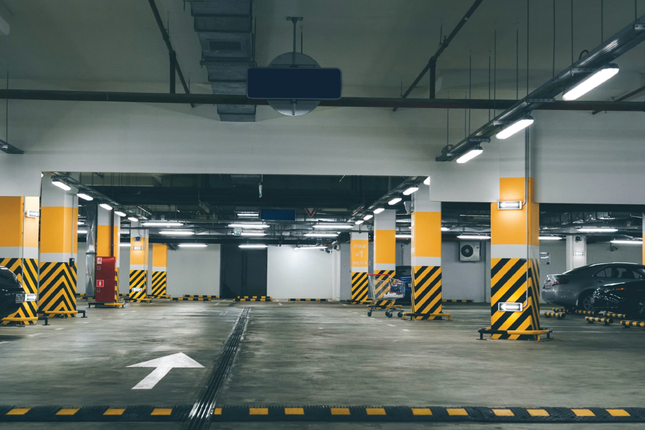 Allegra - Project Gallery